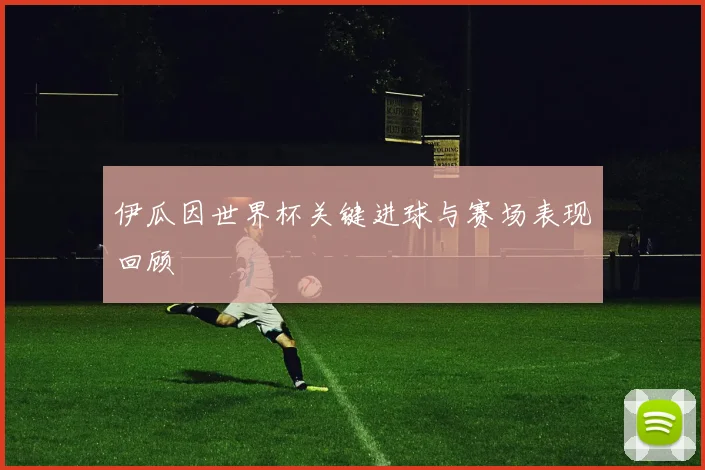 伊瓜因世界杯关键进球与赛场表现回顾